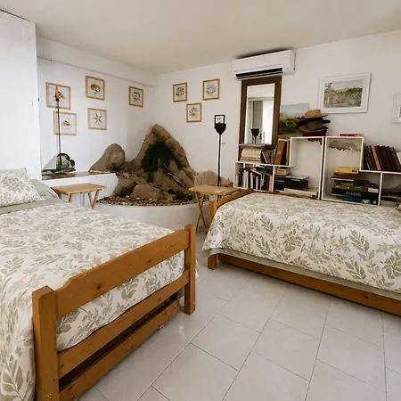 House With 2 Terraces And A Garden In Holiday home